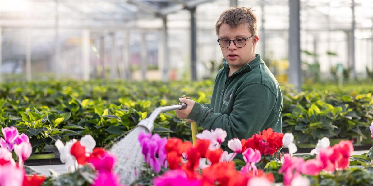Gärtnerei
